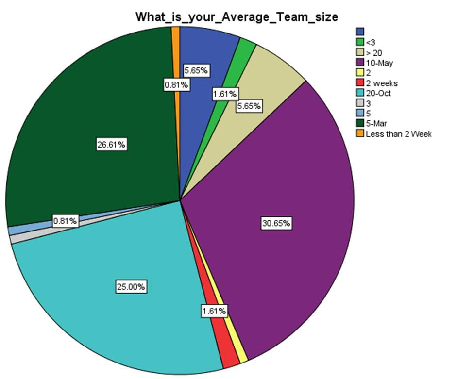 Average team size of the participant