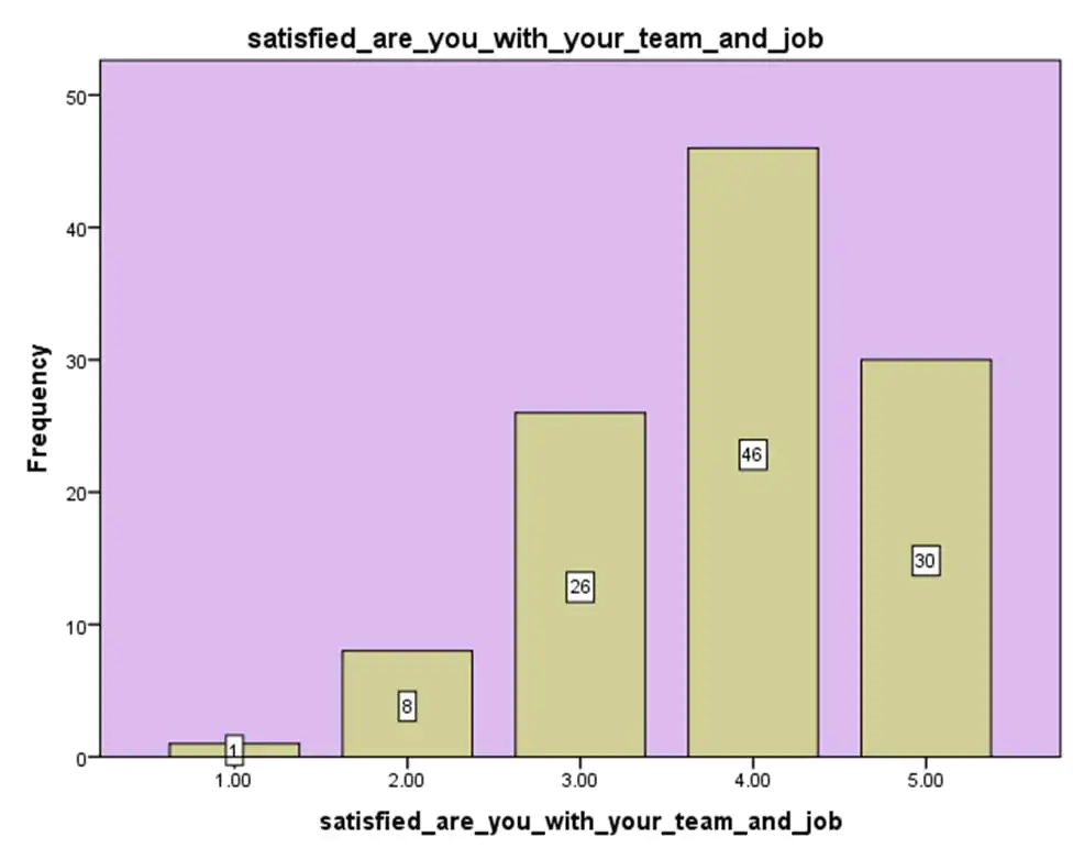 Satisfaction level of agile team