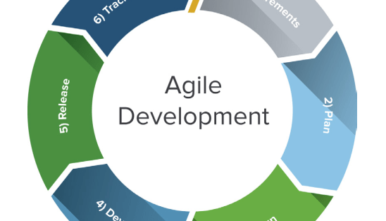 The Challenges and Gaps in the Agile Project Management