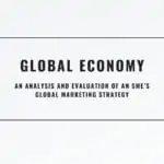 SME’s Global Marketing Strategy – An Analysis and Evaluation | Global Economy