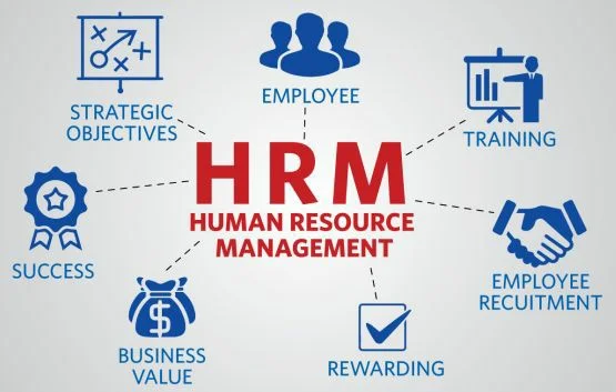 human resource managament assignment example and principles
